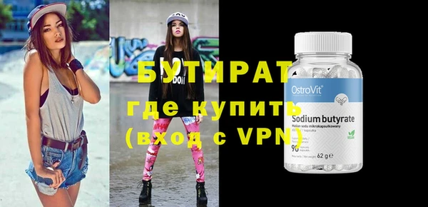индика Гусев