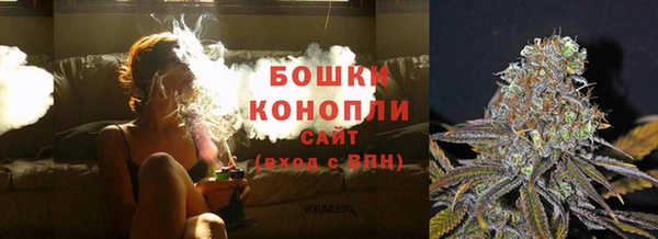 индика Гусев