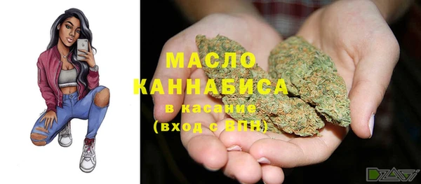 индика Гусев