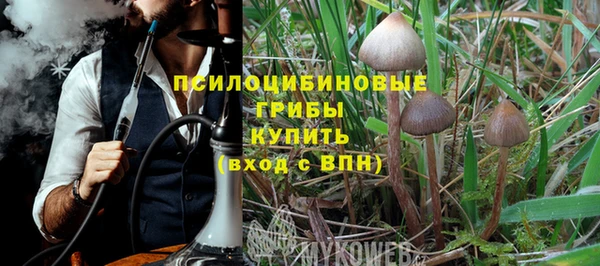индика Гусев