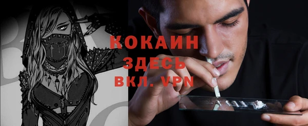 индика Гусев