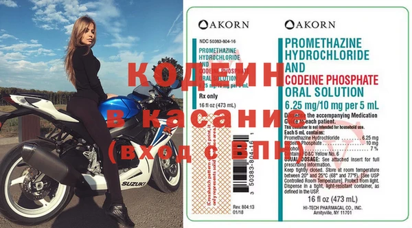 индика Гусев