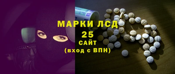 индика Гусев