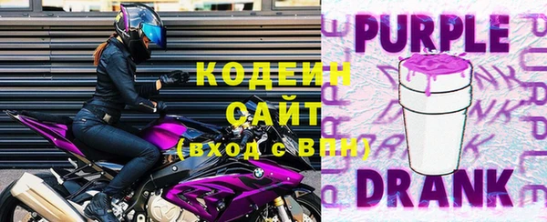 индика Гусев