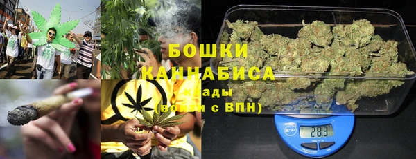 индика Гусев