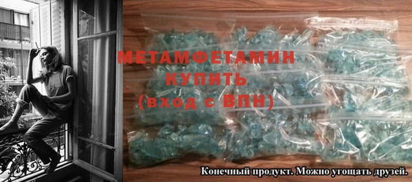 индика Гусев