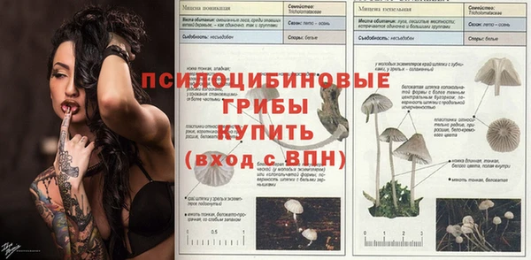 индика Гусев