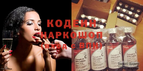 индика Гусев
