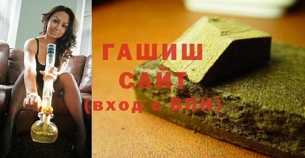 индика Гусев