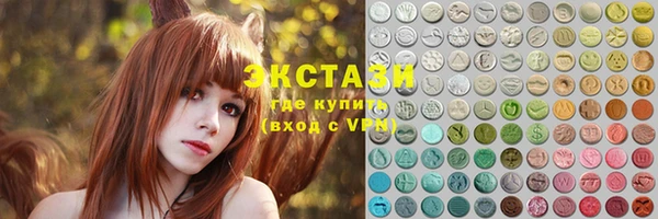 индика Гусев
