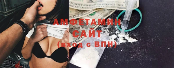 индика Гусев