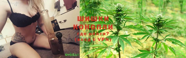 индика Гусев